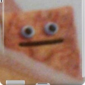 Meet your Posher, Shiloh